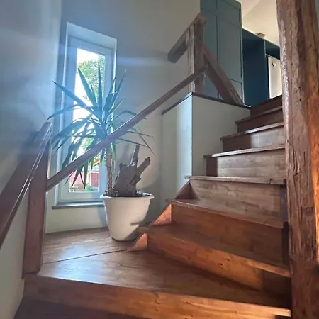 Apartment Tulbi Suvituskodu